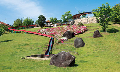 福神中央公園　写真