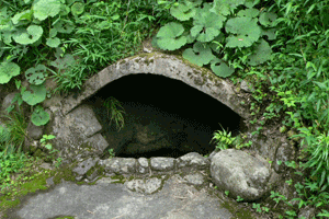 薬水の井戸の写真
