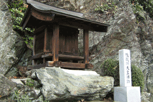 森神社の写真