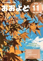 平成30年11月号